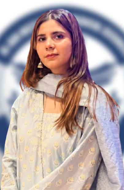 Tanzeela Amir